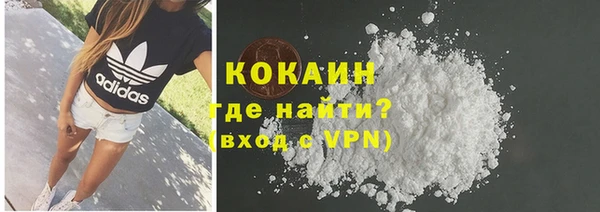дмт Гусев