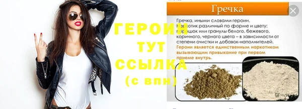 дмт Гусев