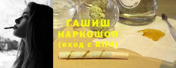 дмт Гусев