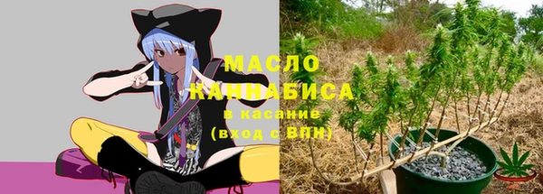 дмт Гусев