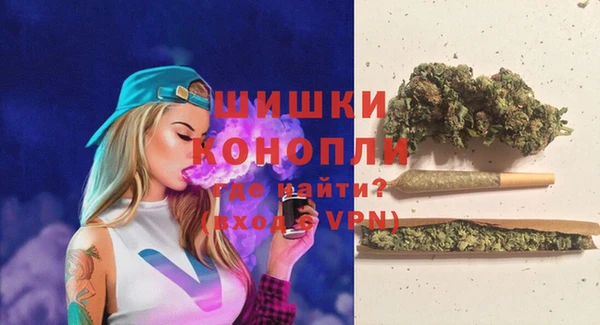 тгк Гусь-Хрустальный
