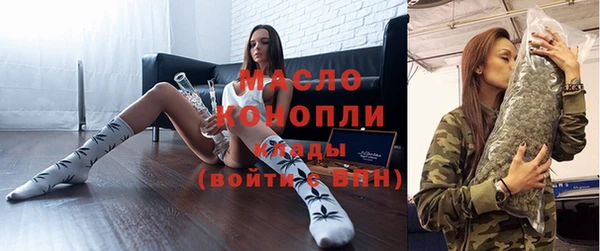 тгк Гусь-Хрустальный