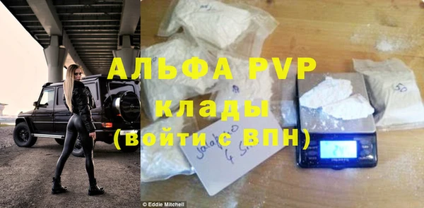 дмт Гусев