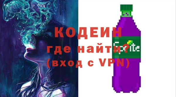 дмт Гусев