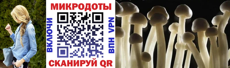Купить Нарткала Псилоцибиновые грибы GOLDEN TEACHER